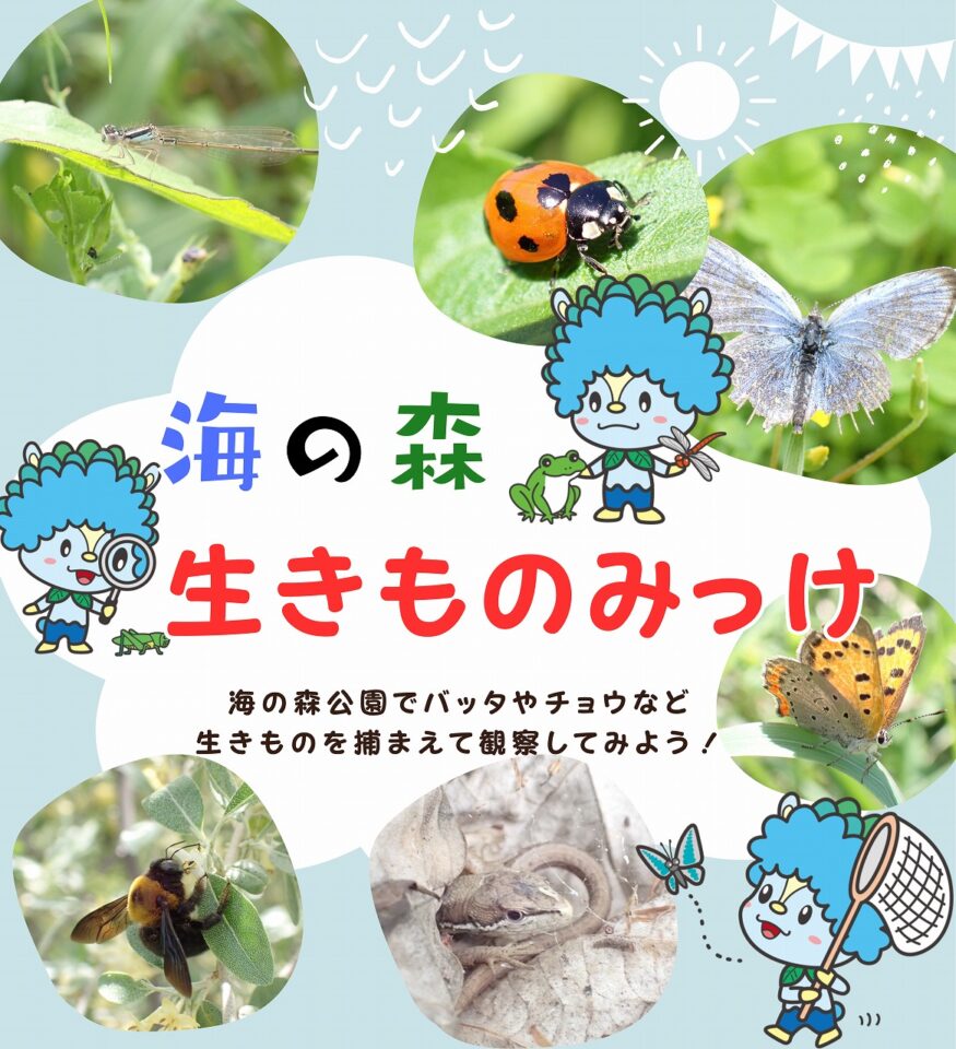 海の森　生きものみっけ