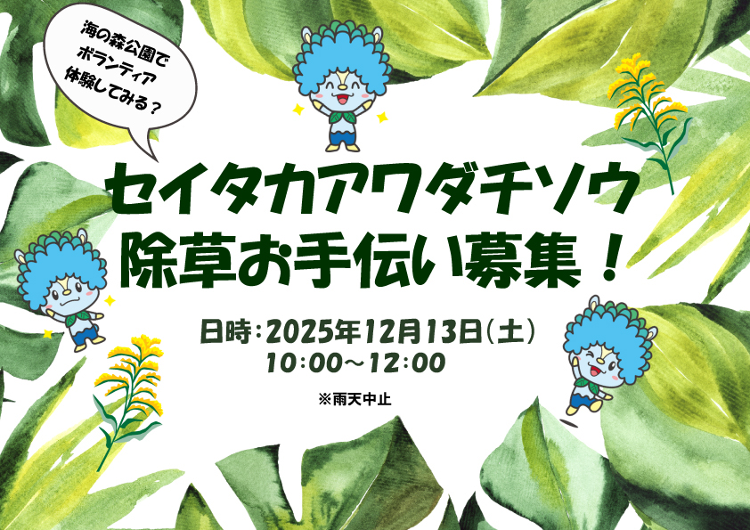 セイタカアワダチソウ除草お手伝い募集!