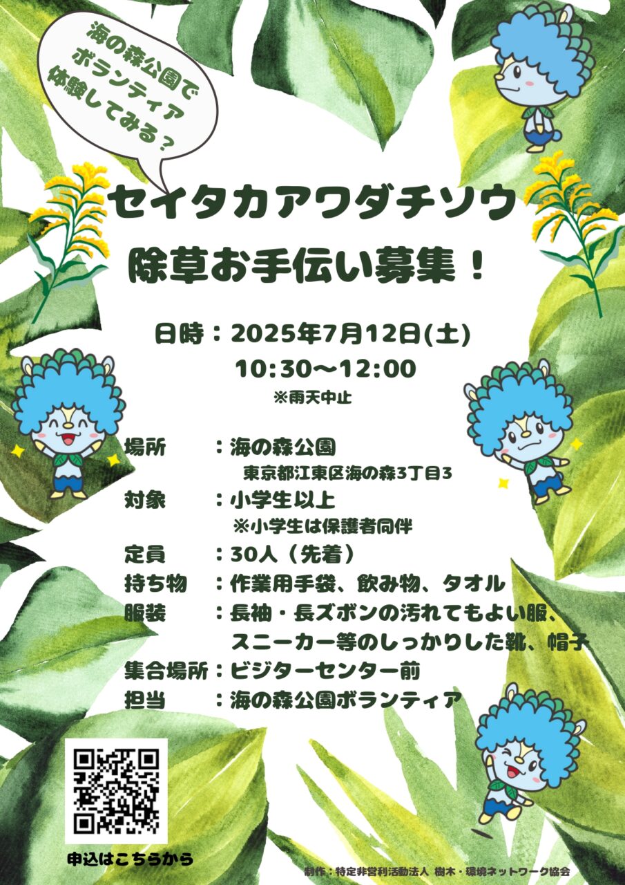 セイタカアワダチソウ除草お手伝い募集！
