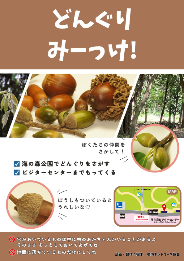 どんぐりみーっけ！