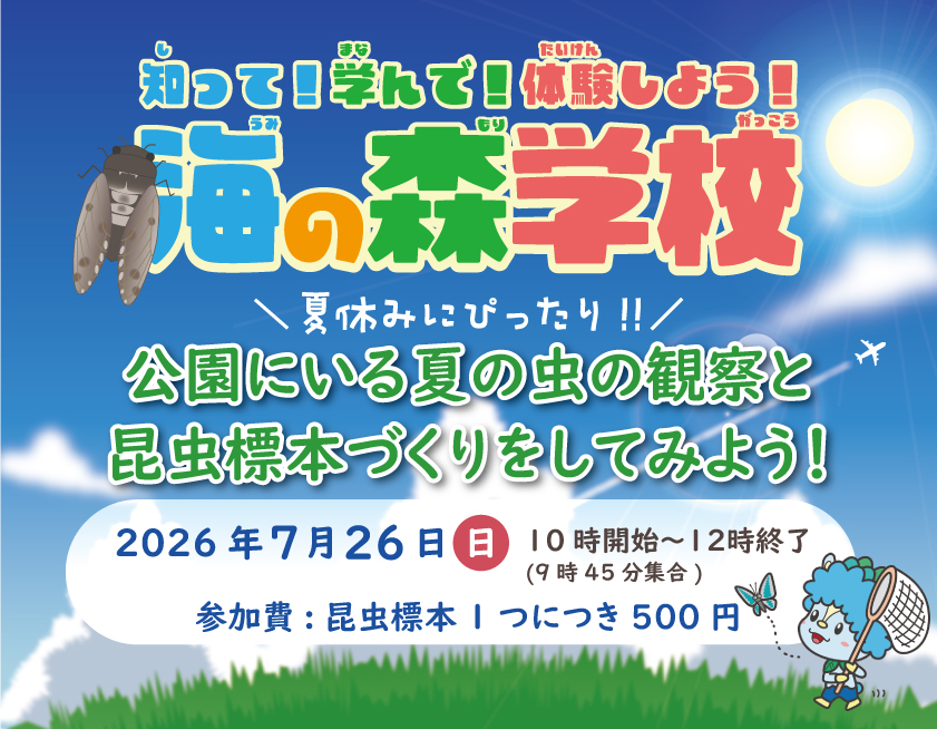 海の森学校（7月）