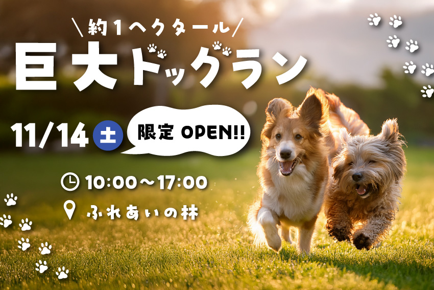 【11/14限定】巨大ドッグラン